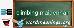 WordMeaning blackboard for climbing maidenhair